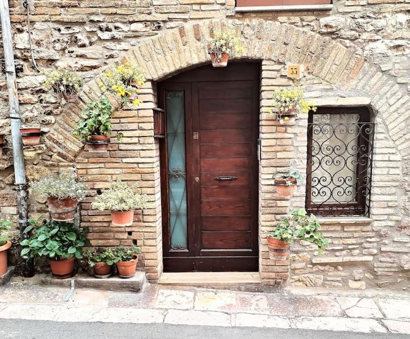 Appartamento Nonna Milde Assisi Eksteriør bilde